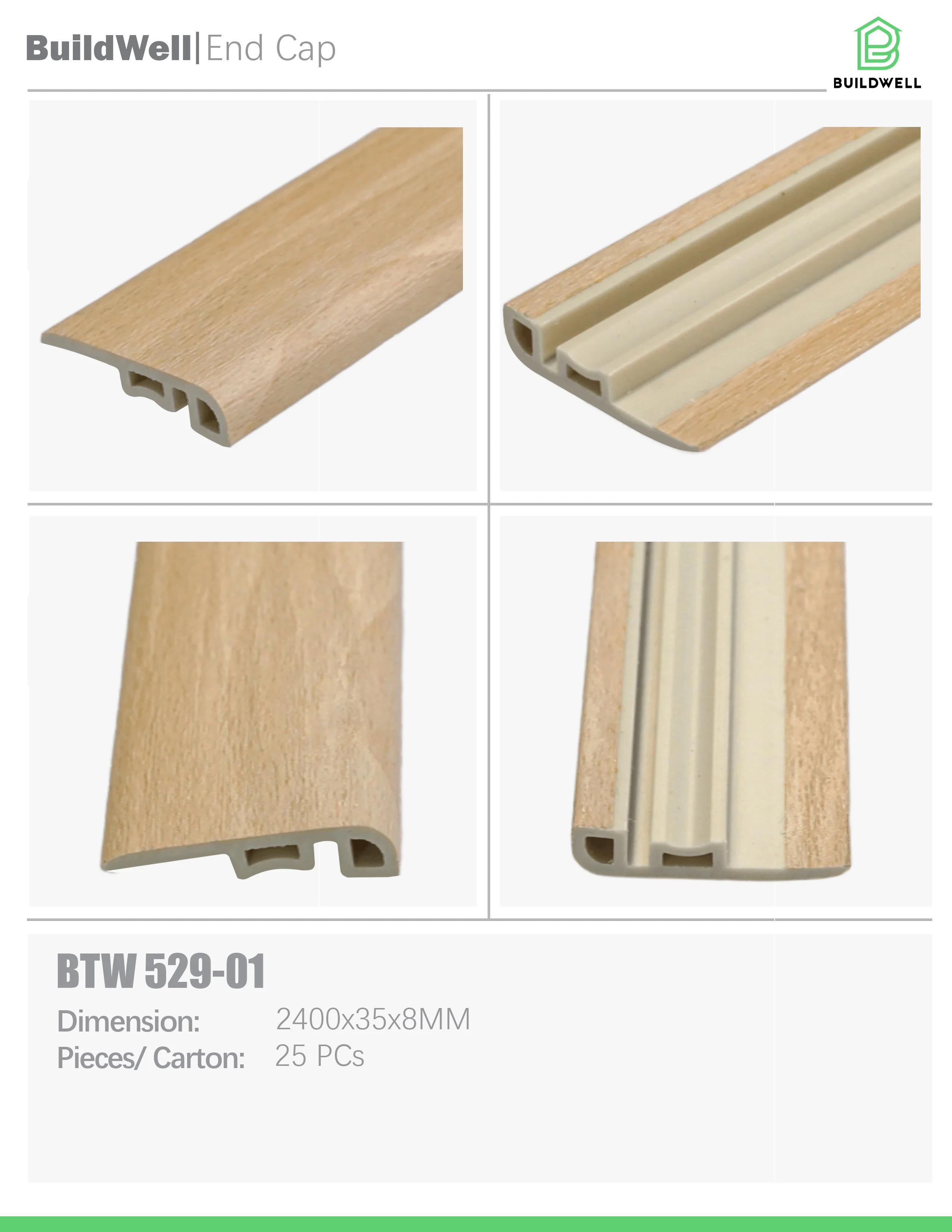 Image for BT529-01